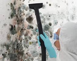 Best Mold Odor Removal Services  in Brookfield, MO